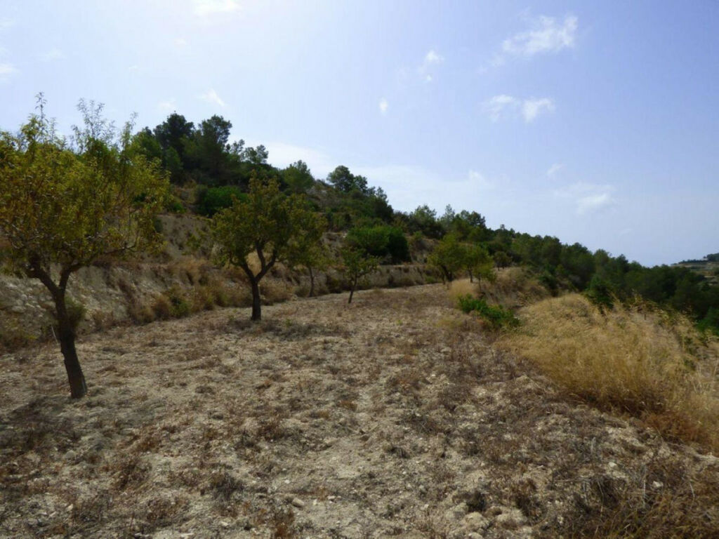 Land Benissa Alicante - image 4