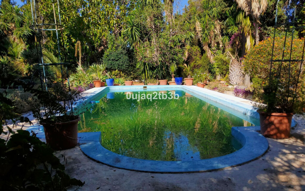 Finca - Cortijo Mijas Málaga - image 4