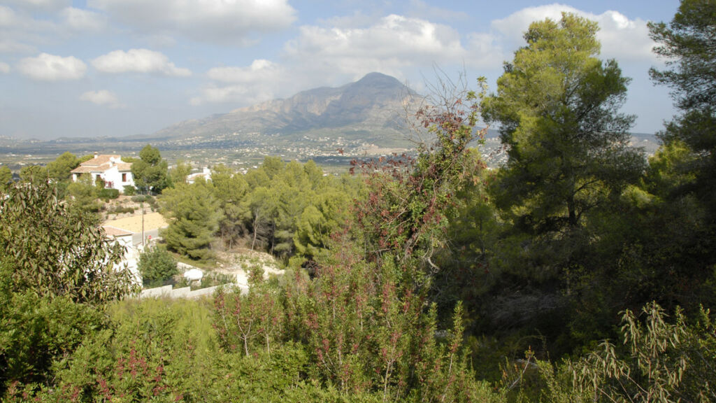 Land Javea Alicante - image 4