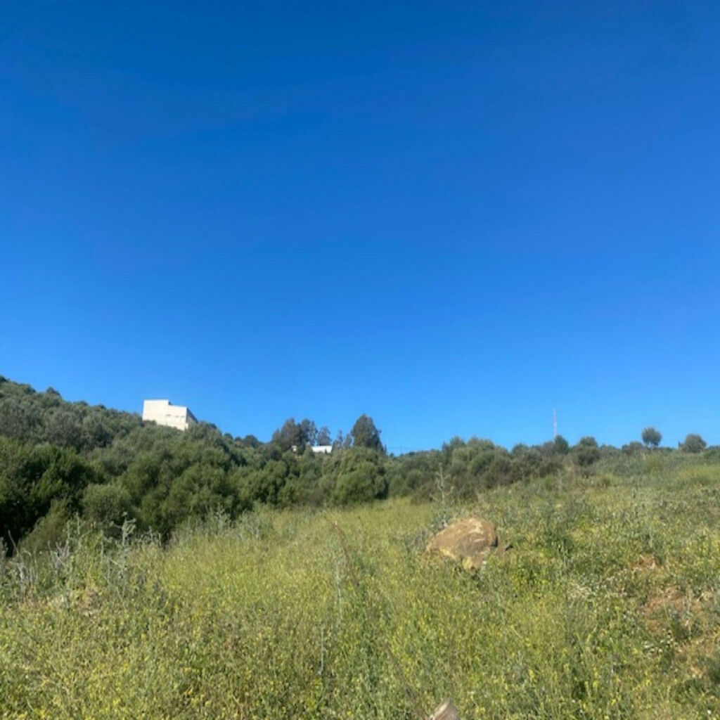 Residential Plot Valle Romano Málaga - image 4
