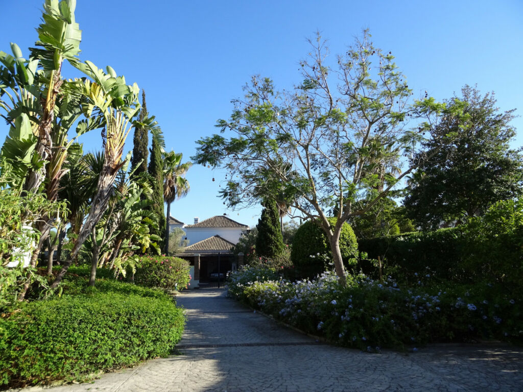 Detached Villa Sotogrande Alto Cádiz - image 39