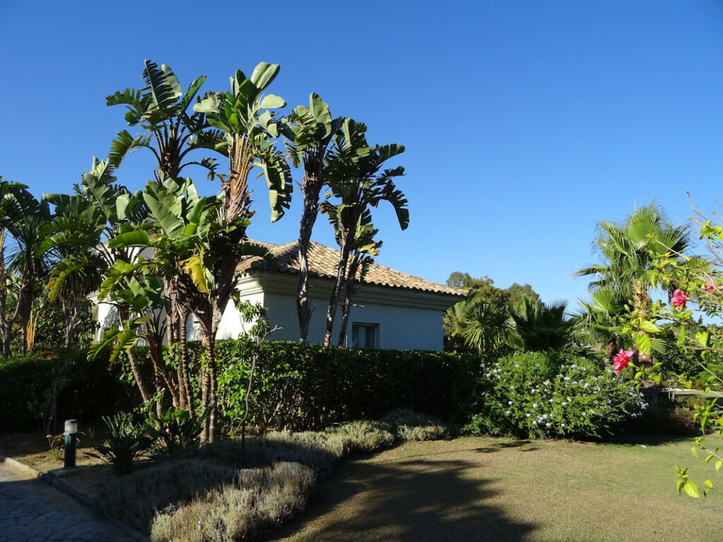 Detached Villa Sotogrande Alto Cádiz - image 5