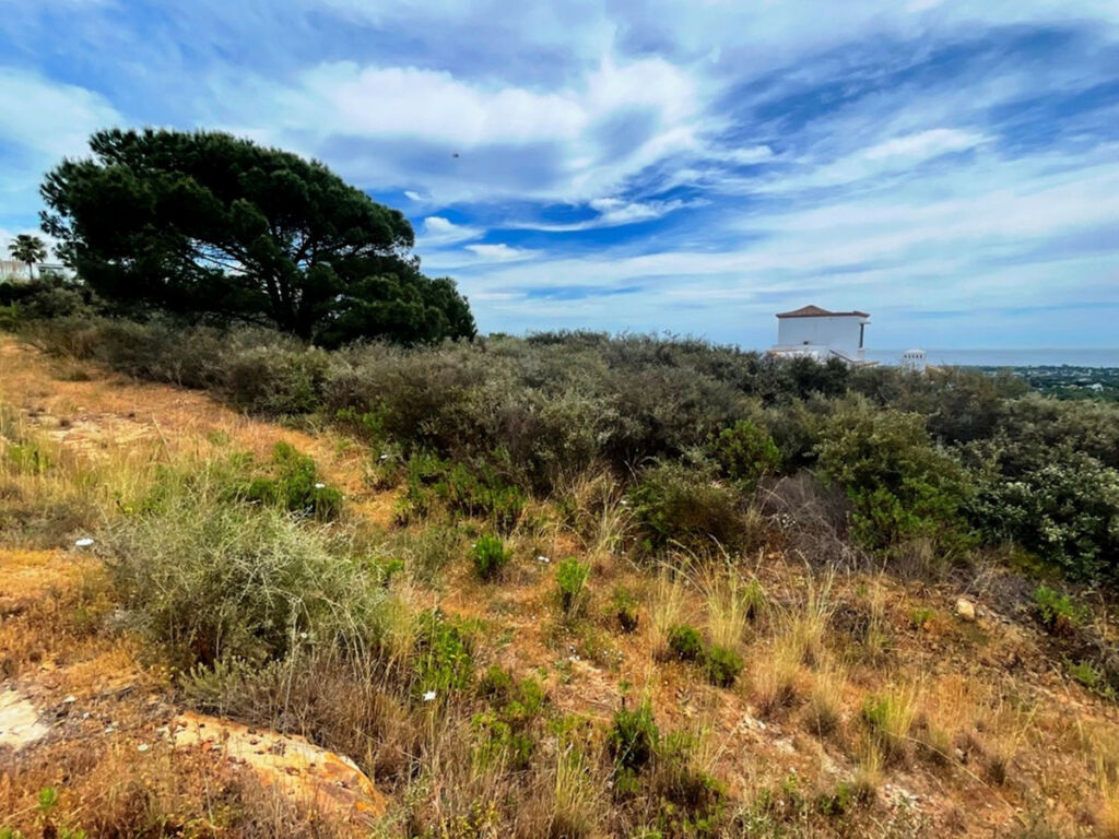 Residential Plot San Roque Cádiz - image 6
