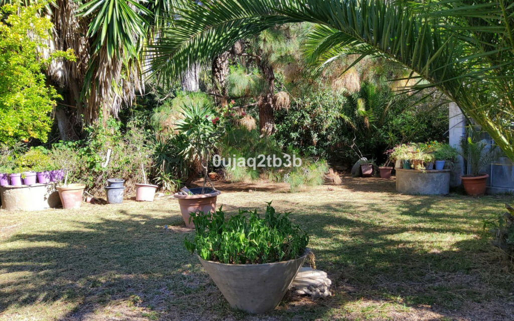Finca - Cortijo Mijas Málaga - image 6