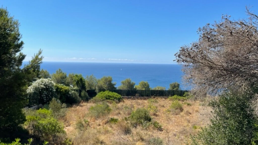 Land Javea Alicante - image 6