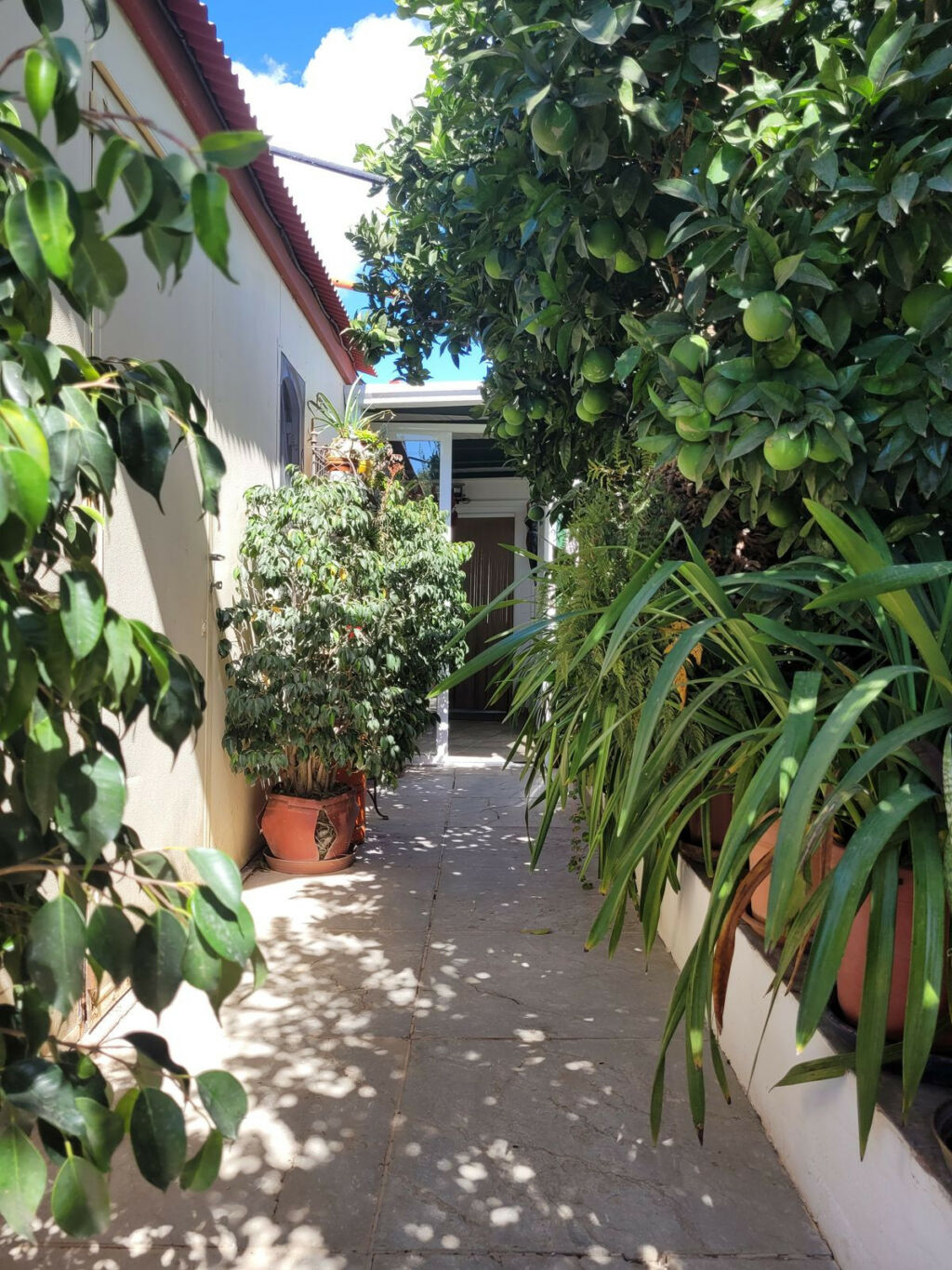 Detached Villa Estepona Málaga - image 6