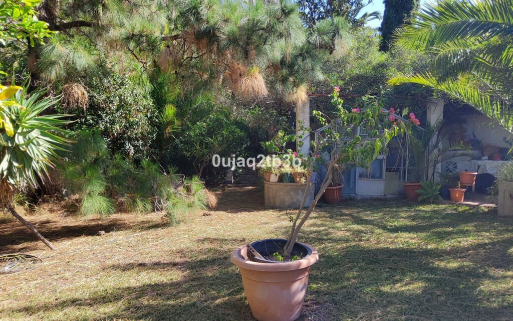 Finca - Cortijo Mijas Málaga - image 7