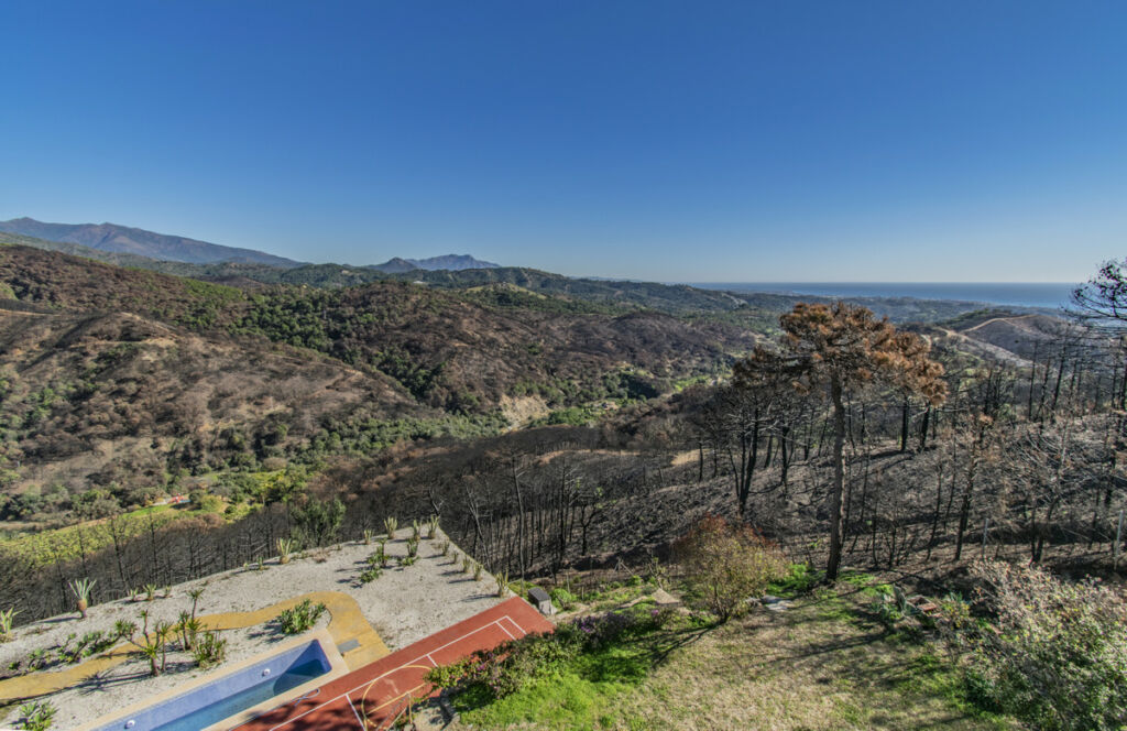 Detached Villa Estepona Málaga - image 7