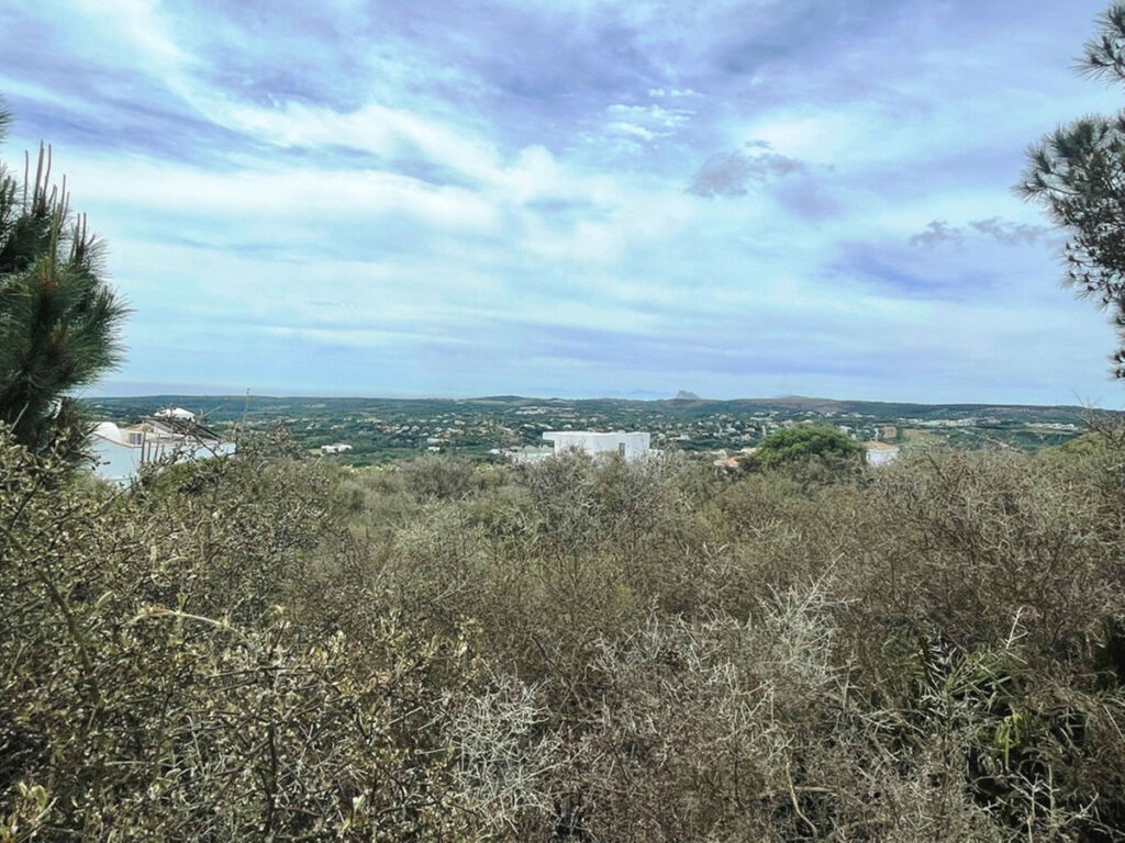 Residential Plot San Roque Cádiz - image 7