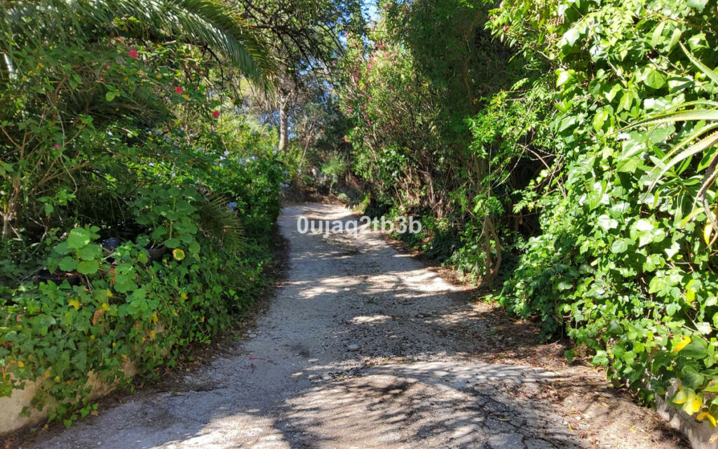Finca - Cortijo Mijas Málaga - image 9