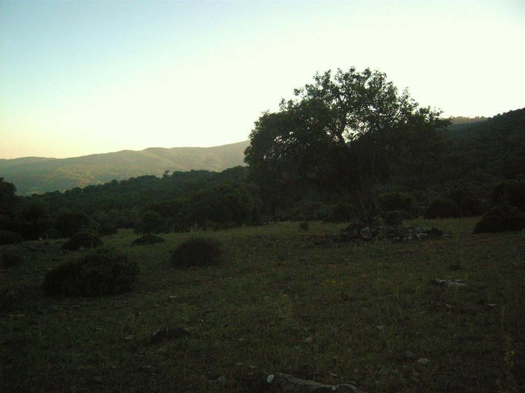 Land Estación de Gaucin Málaga - image 9