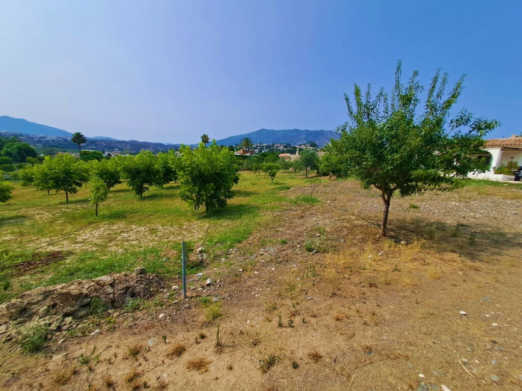 Finca - Cortijo Las Lagunas Málaga - image 10
