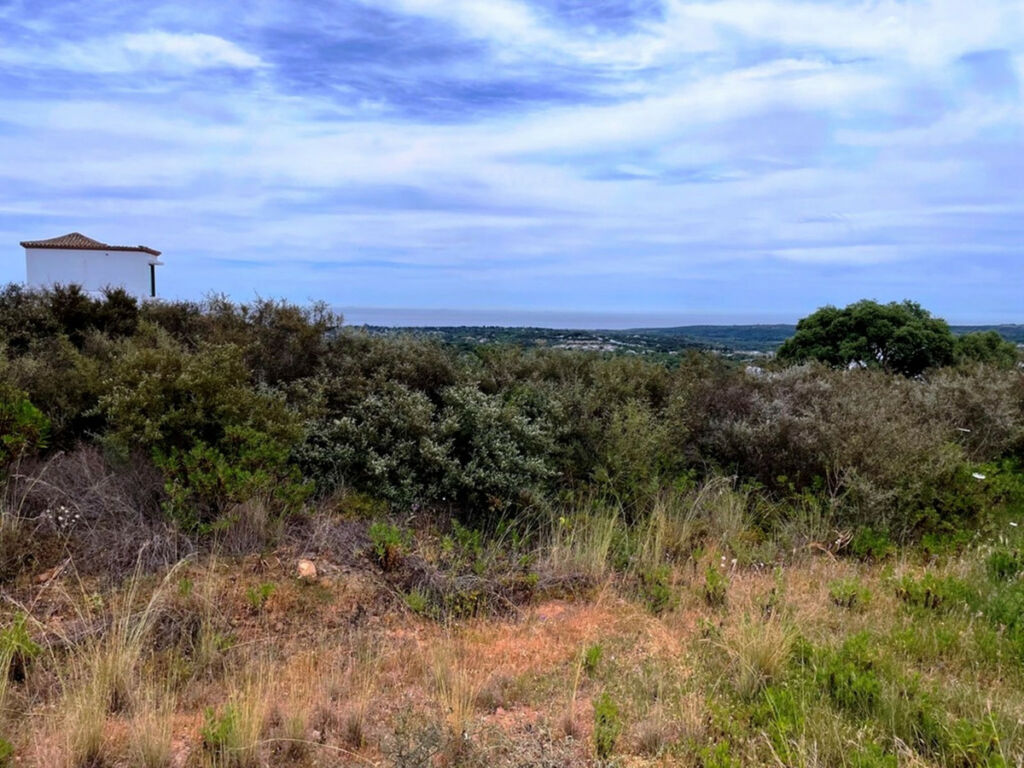 Residential Plot San Roque Cádiz - image 9