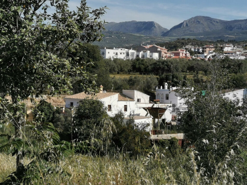 Finca - Cortijo Alcaucín Málaga