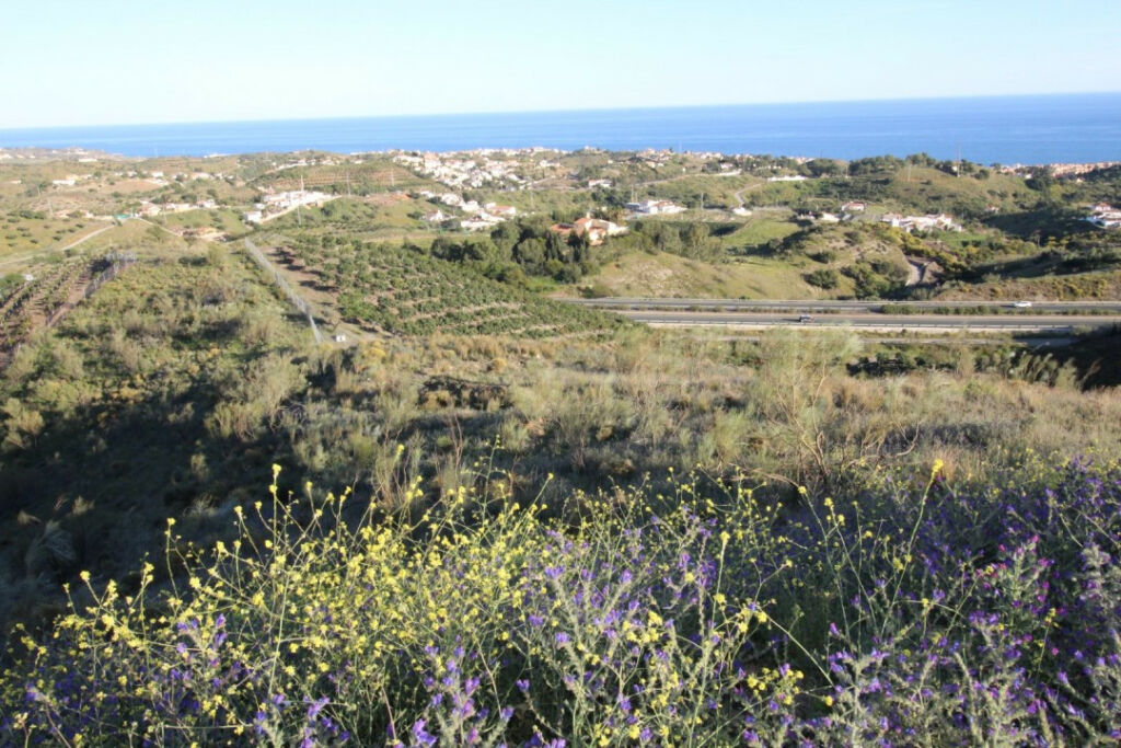 Land Benajarafe Málaga