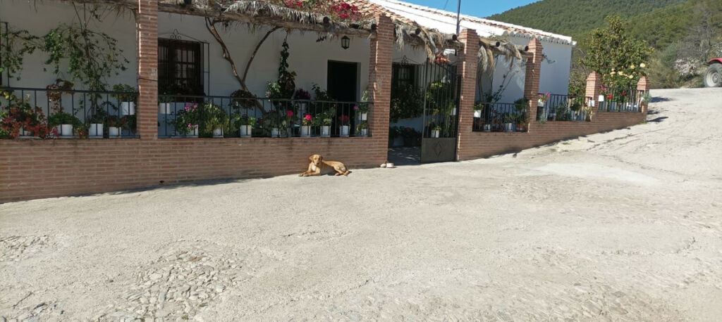 Detached Villa Ronda Málaga