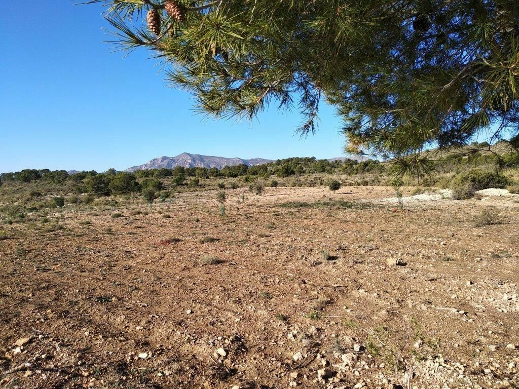 Residential Plot Relleu Alicante