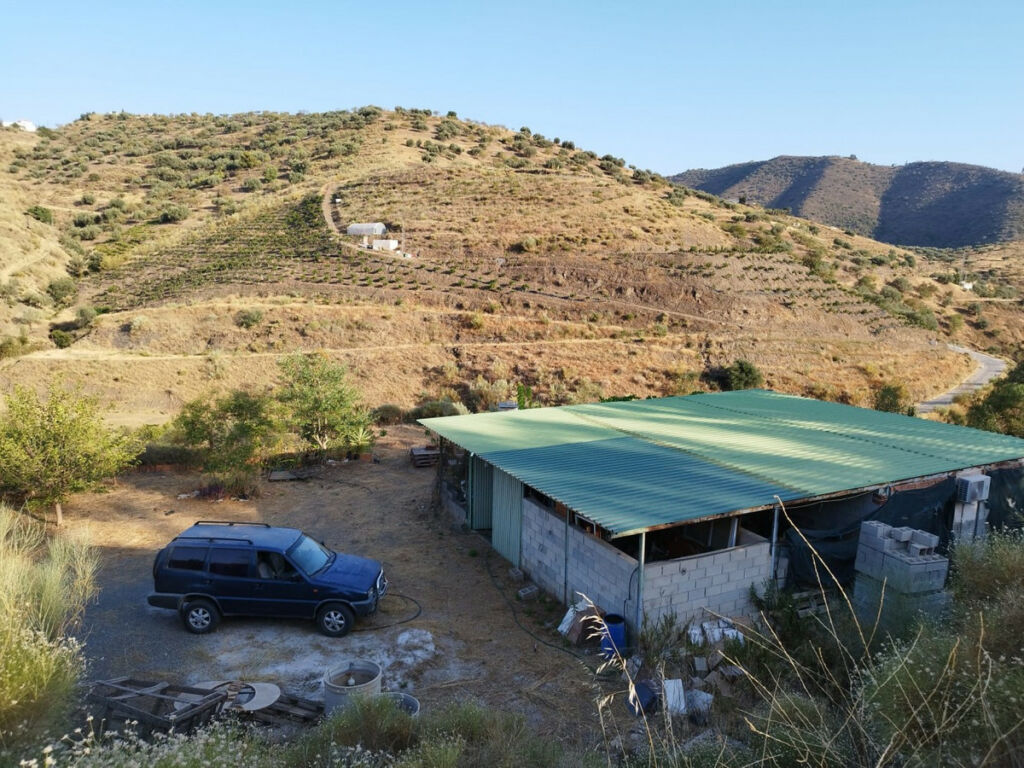 Finca - Cortijo Canillas de Aceituno Málaga