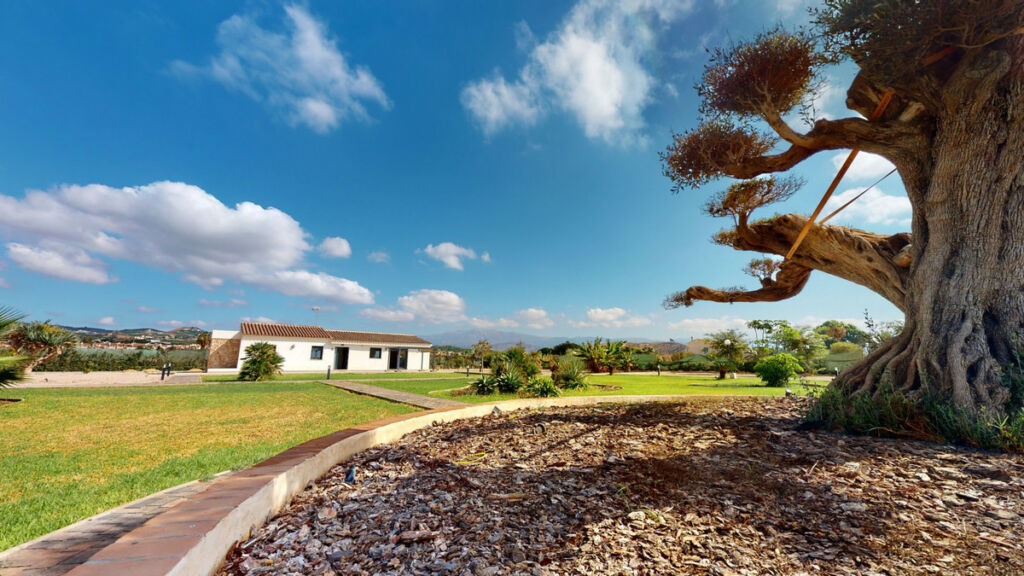 Detached Villa Almayate Málaga