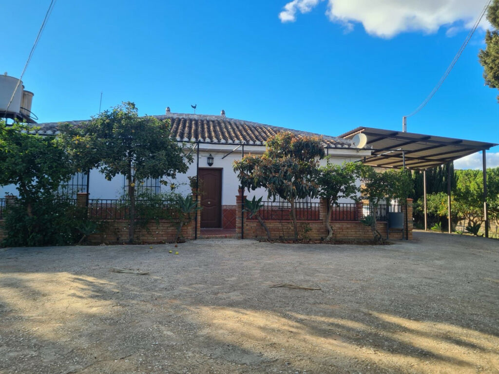 Finca - Cortijo Pizarra Málaga - image 2