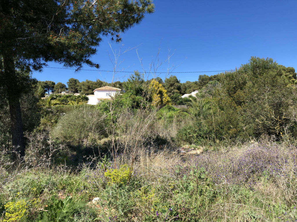 Land Javea Alicante