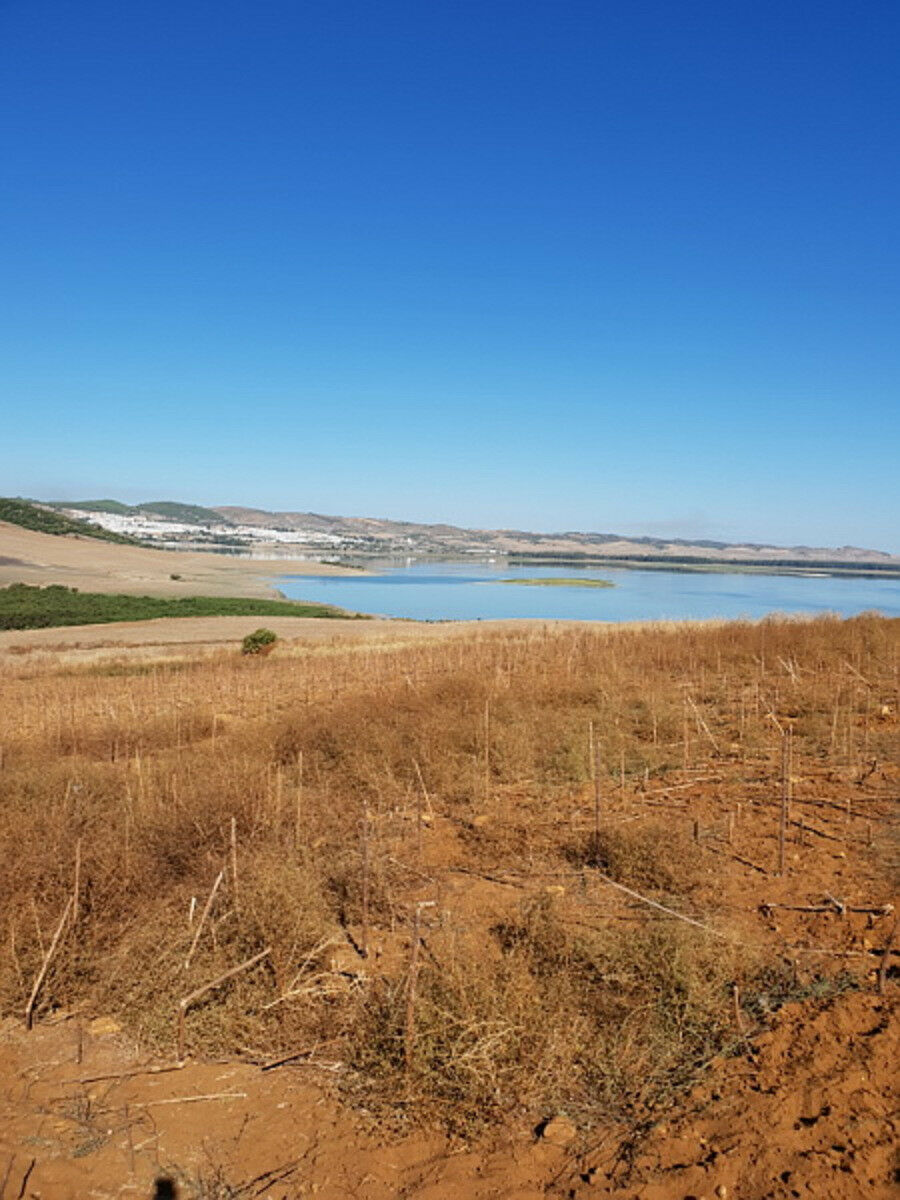 Land Arcos de la Frontera Cádiz