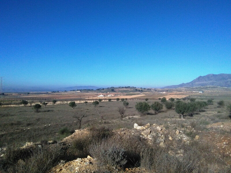 Land Torre Del Rico Murcia
