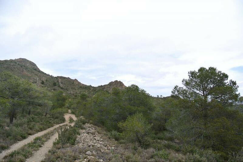 Land Yecla Murcia - image 10