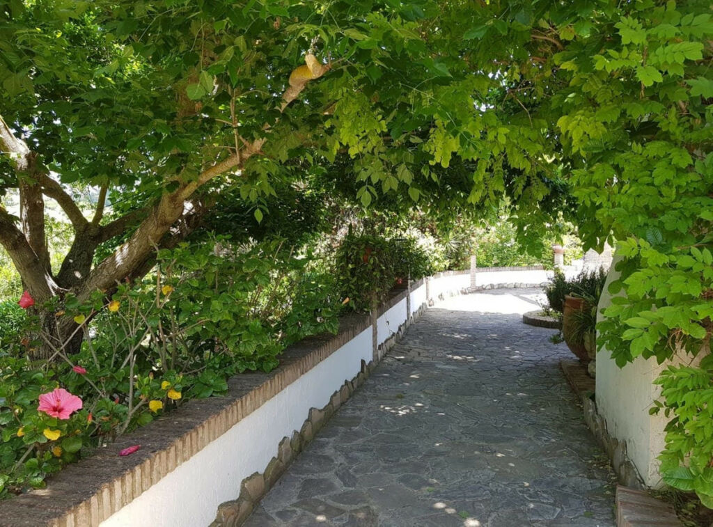 Detached Villa Jimena de la Frontera Cádiz - image 10