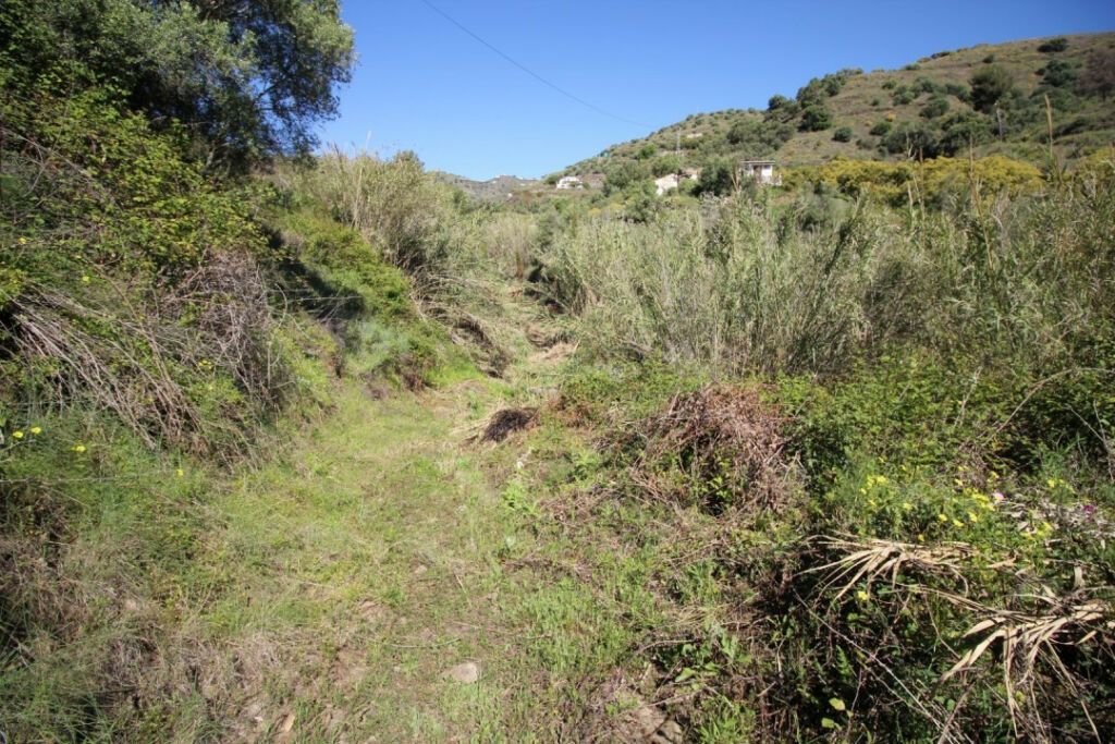 Land Torrox Málaga - image 10