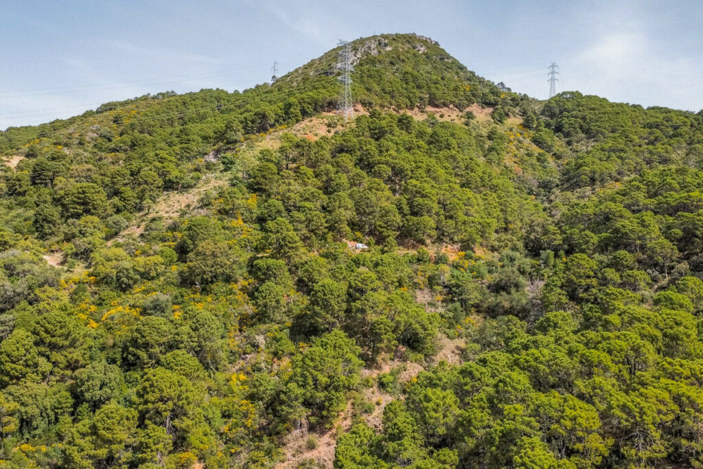 Land Benahavís Málaga - image 10