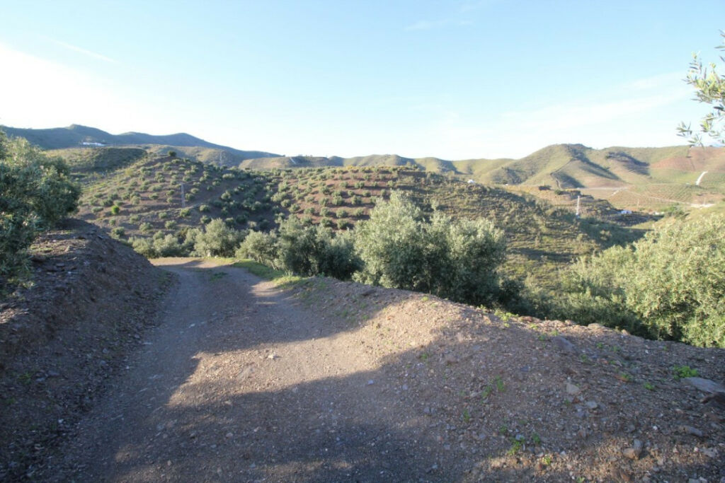 Land Benajarafe Málaga - image 9