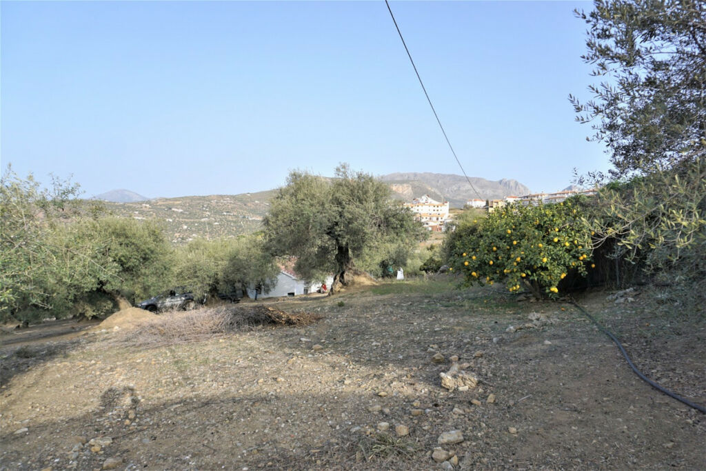 Finca - Cortijo Alcaucín Málaga - image 10