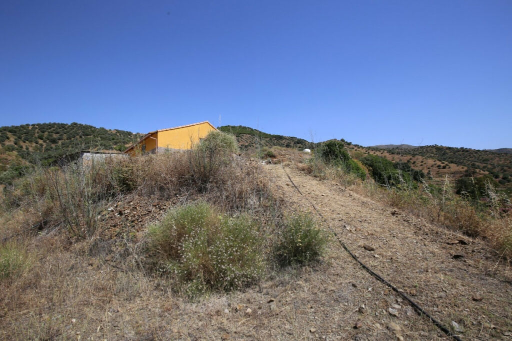 Land Totalán Málaga - image 10