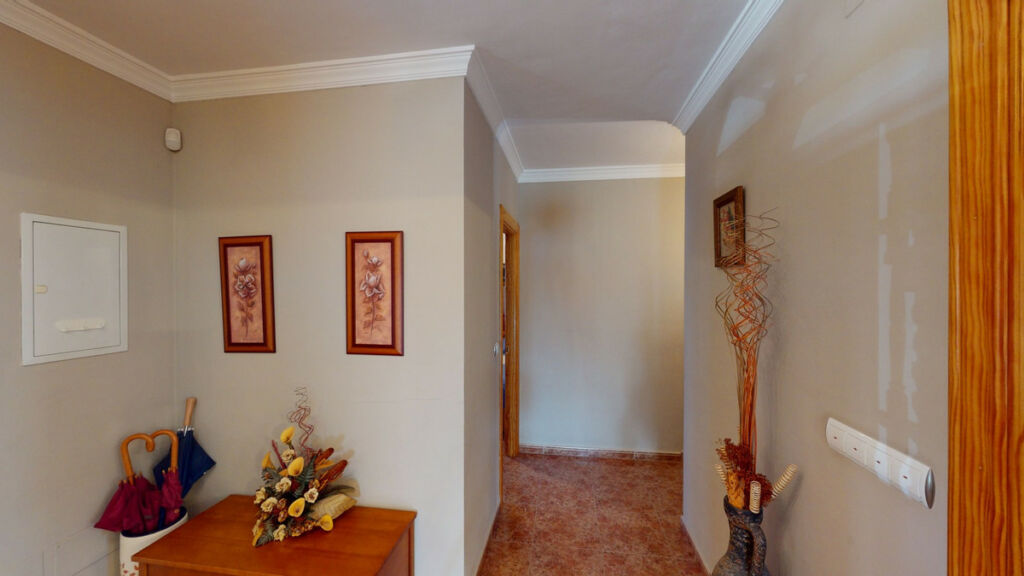 Detached Villa Alcaucín Málaga - image 10
