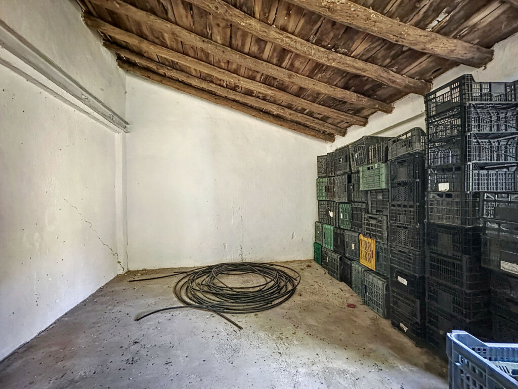 Farm Doña Julia Málaga - image 11