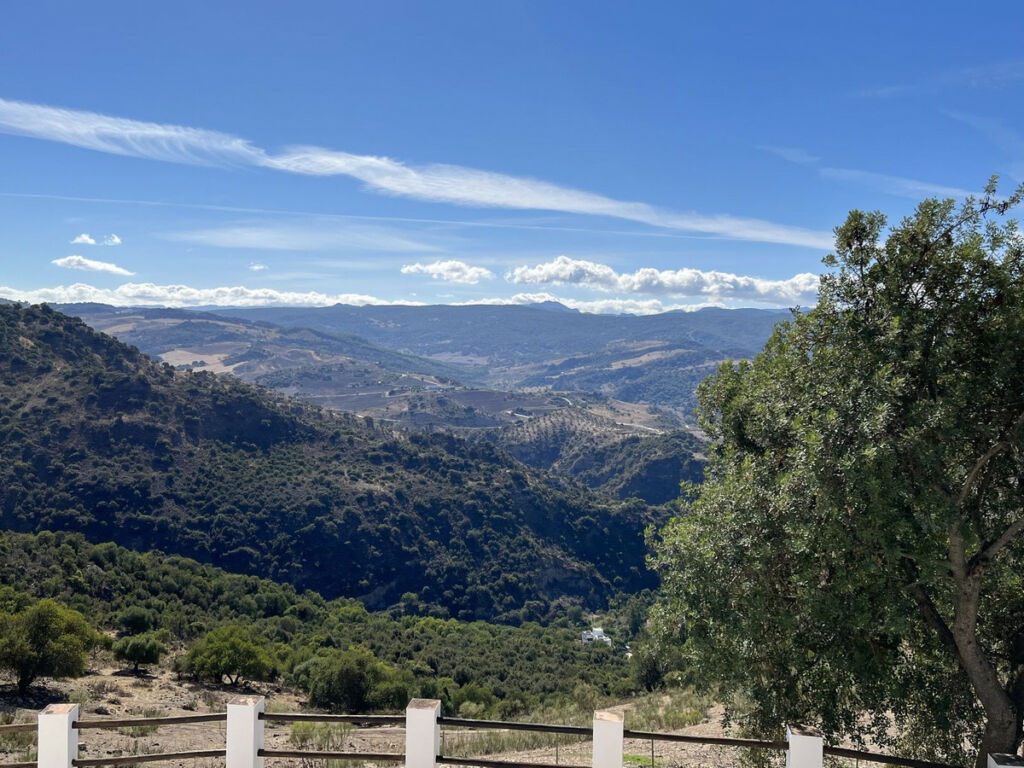 Land Ronda Málaga - image 10