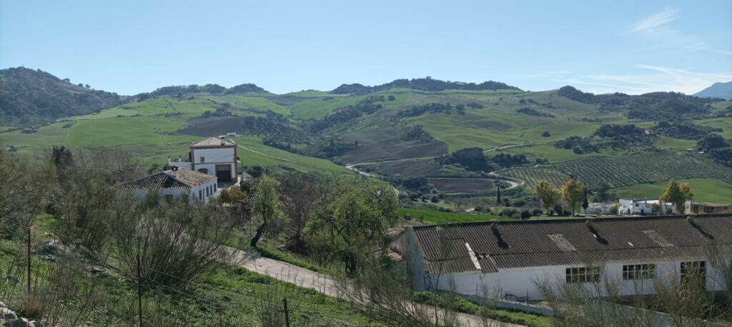 Detached Villa Ronda Málaga - image 11