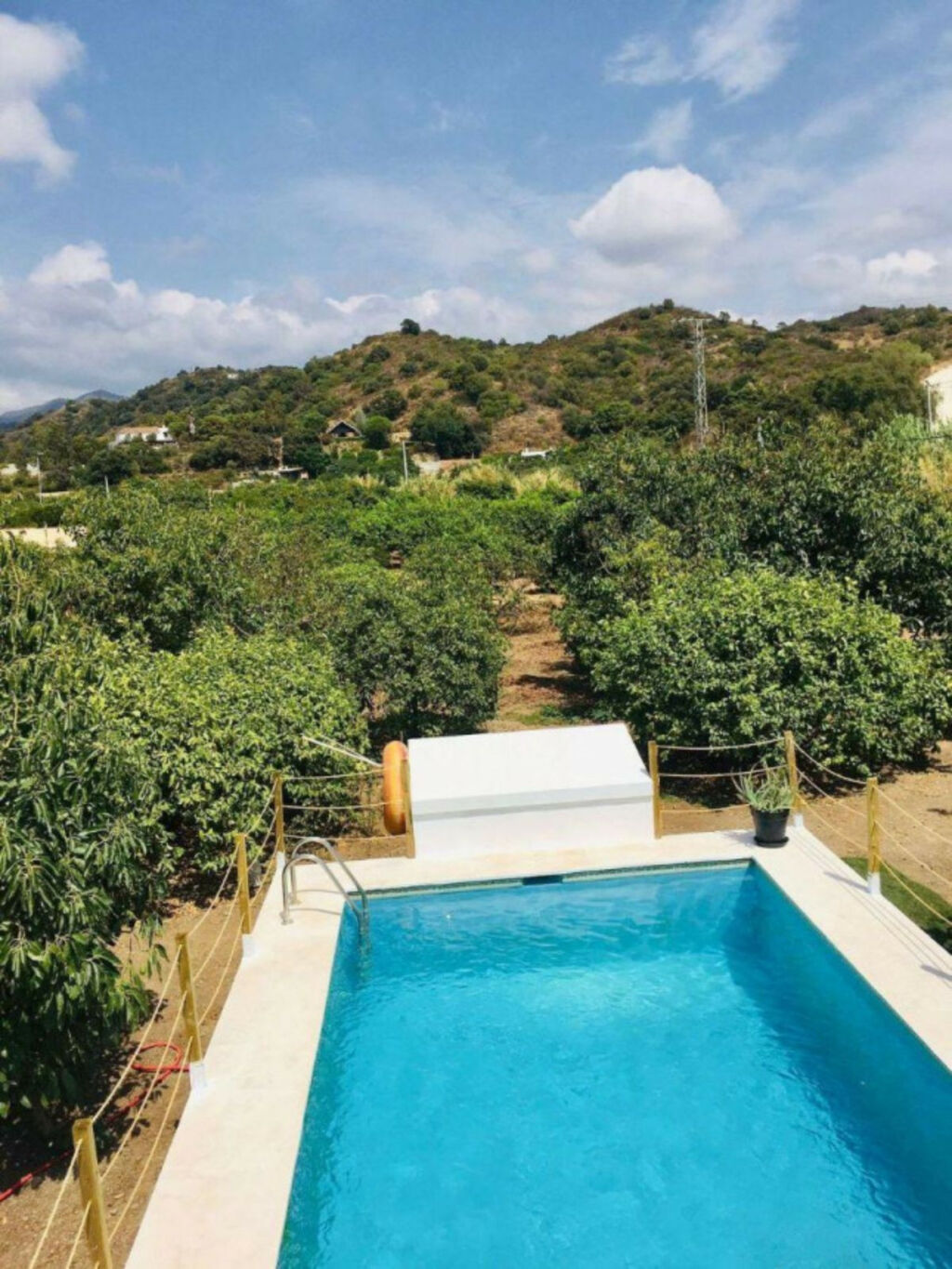 Finca - Cortijo Estepona Málaga - image 11