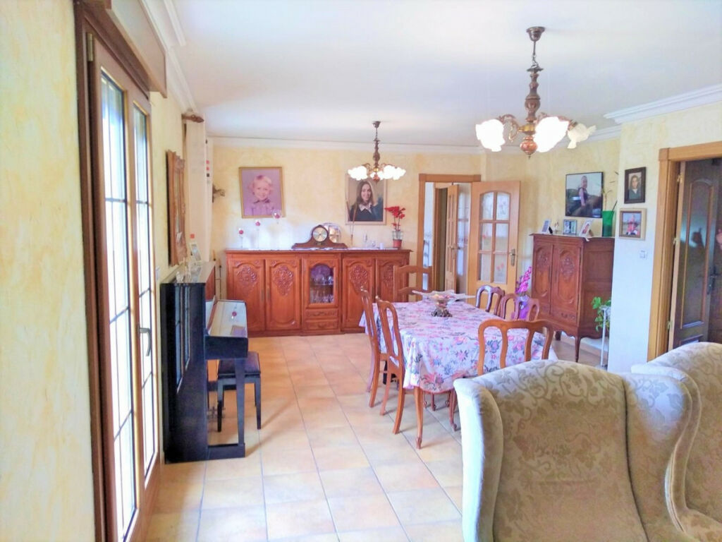 Detached Villa Aspe Alicante - image 11