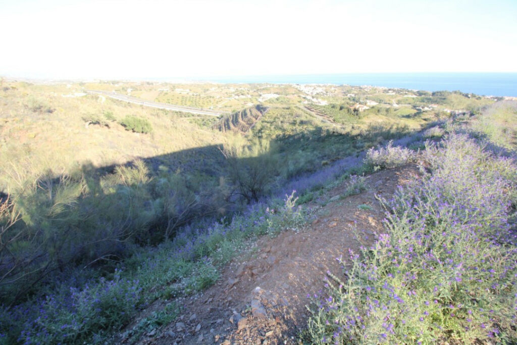 Land Benajarafe Málaga - image 10