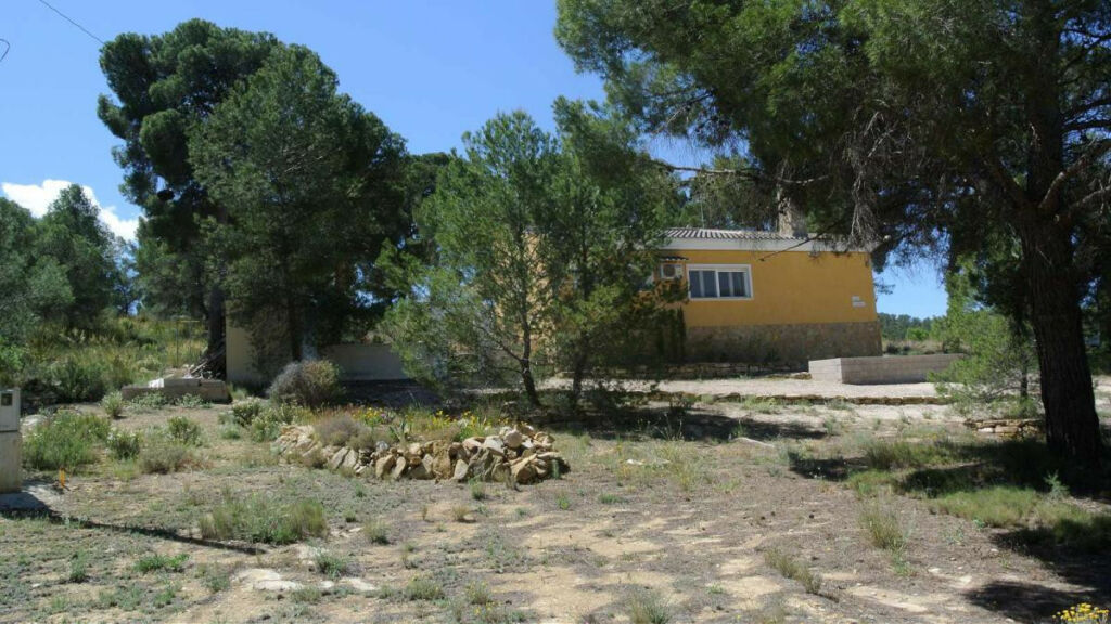 Detached Villa Jumilla Murcia - image 11