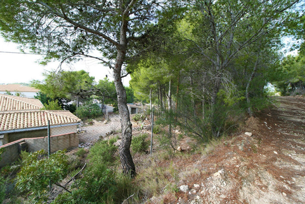 Land Altea Alicante - image 11