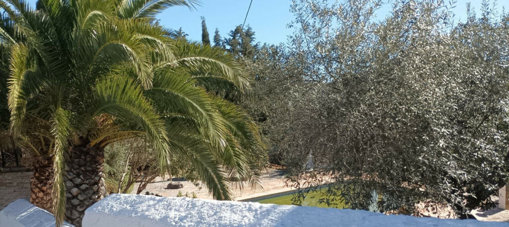 Detached Villa Ronda Málaga - image 12