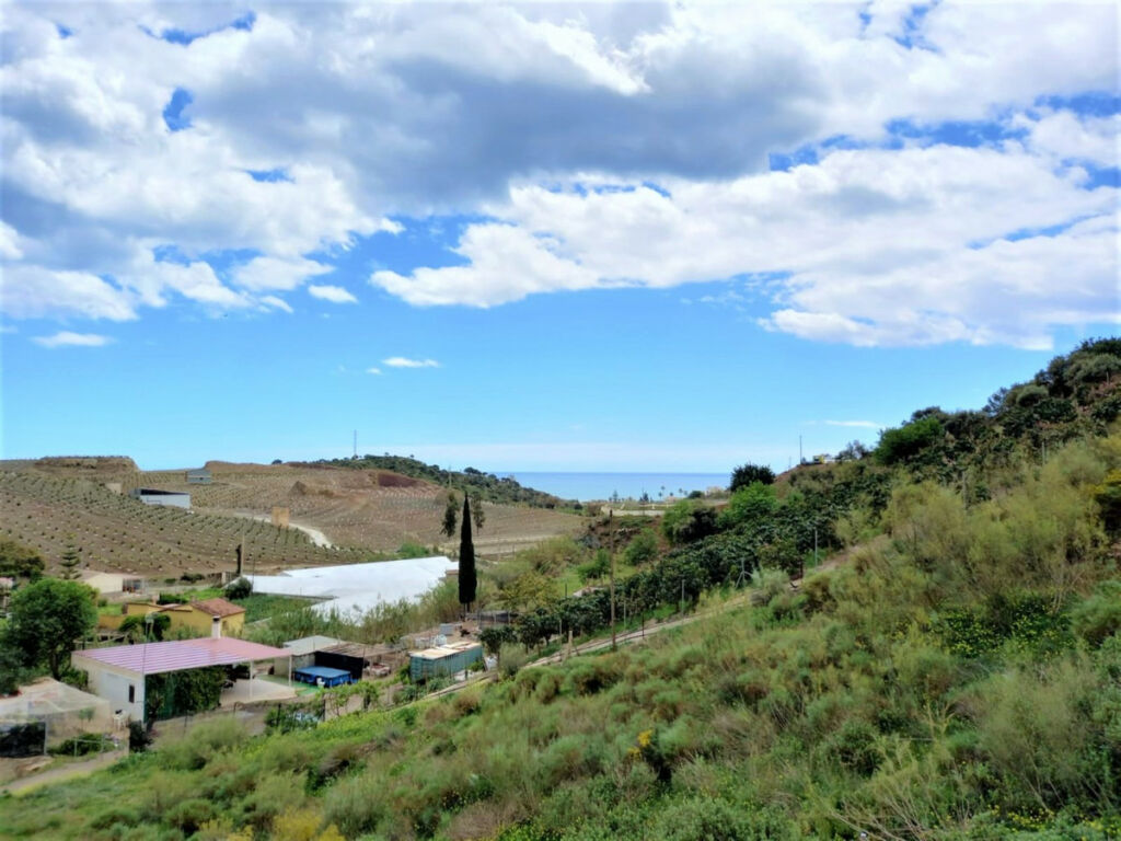 Detached Villa Almayate Málaga - image 12