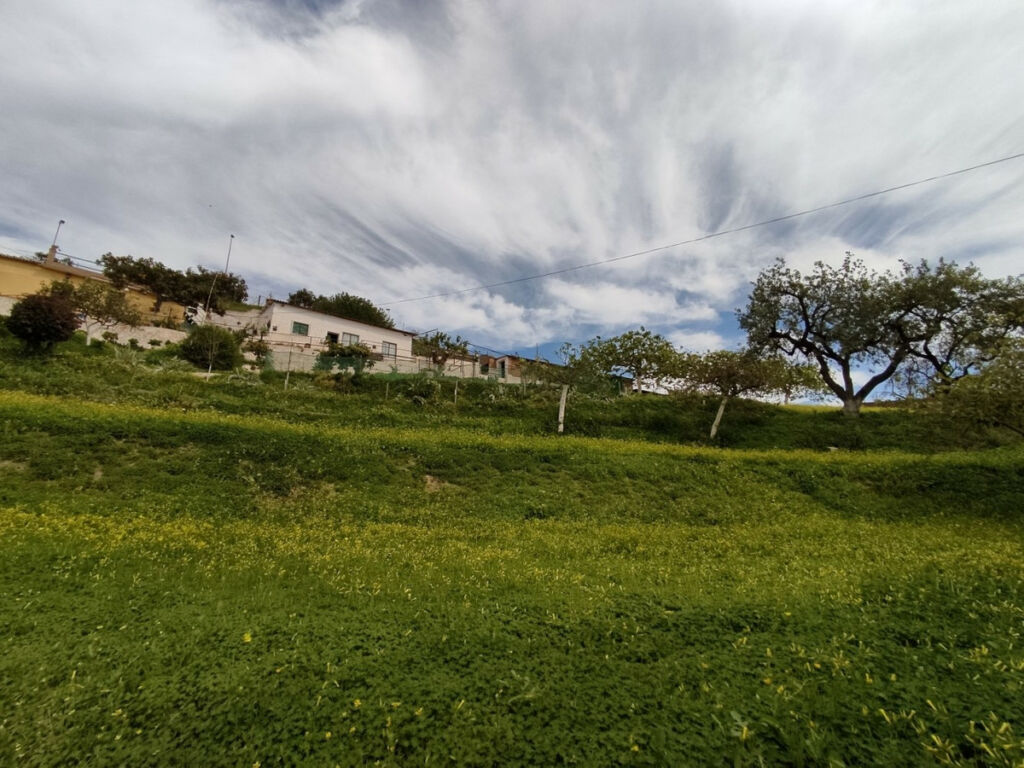 Detached Villa Vélez-Málaga Málaga - image 12