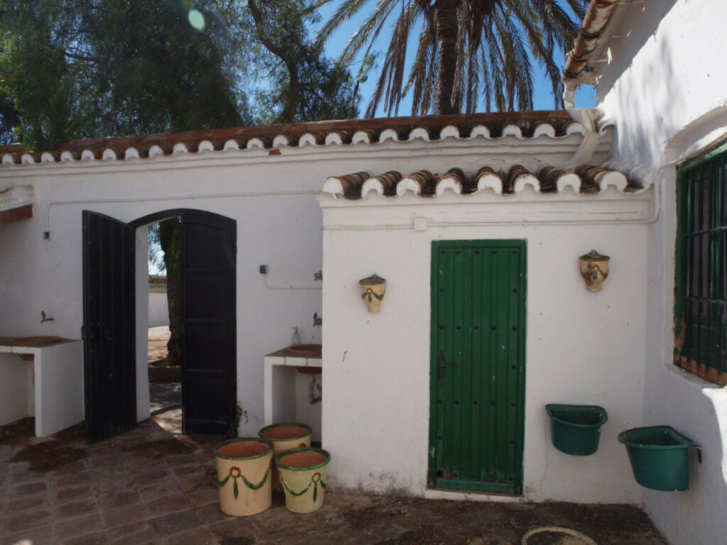 Finca - Cortijo Almayate Málaga - image 12