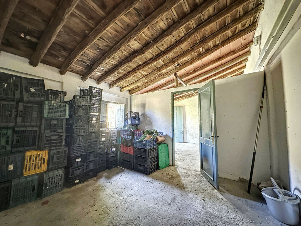 Farm Doña Julia Málaga - image 12