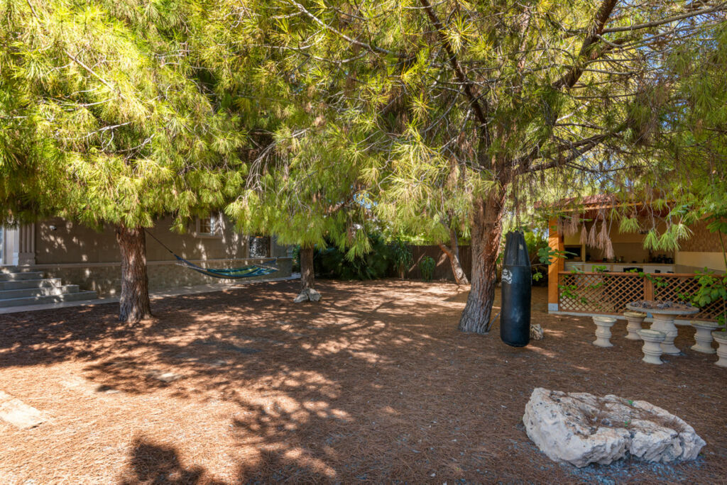 Detached Villa Dona Pepa Alicante - image 13
