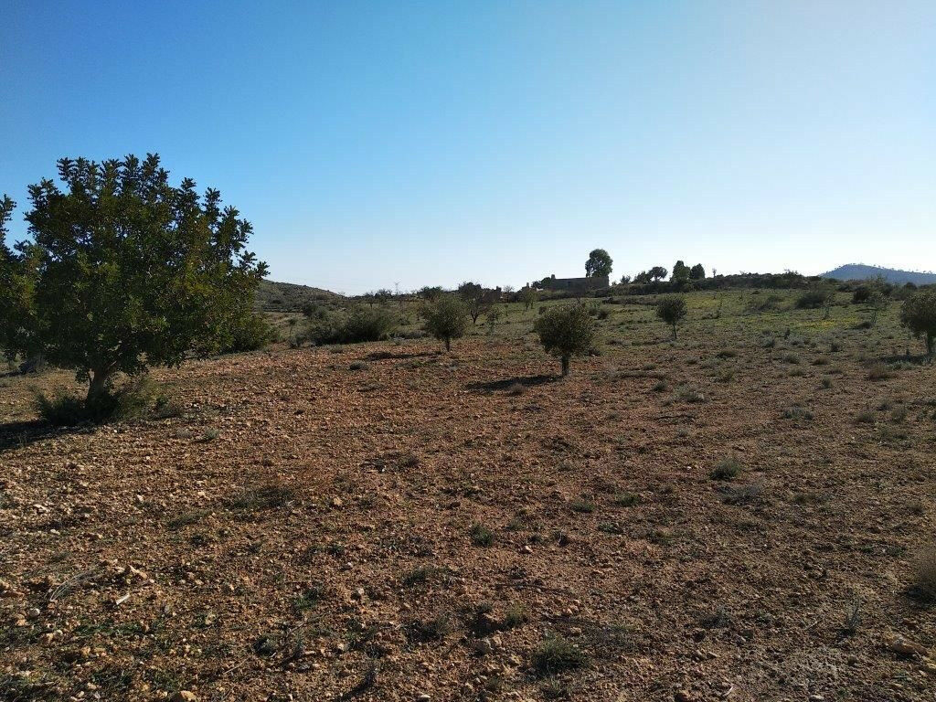 Residential Plot Relleu Alicante - image 13
